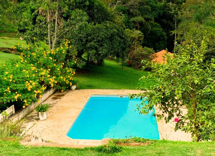 Piscina rodeada por vegetação